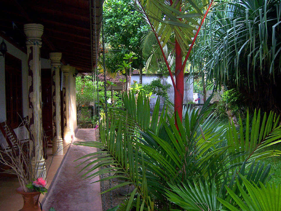 Haus mit Garten Ferienhaus Geckovilla