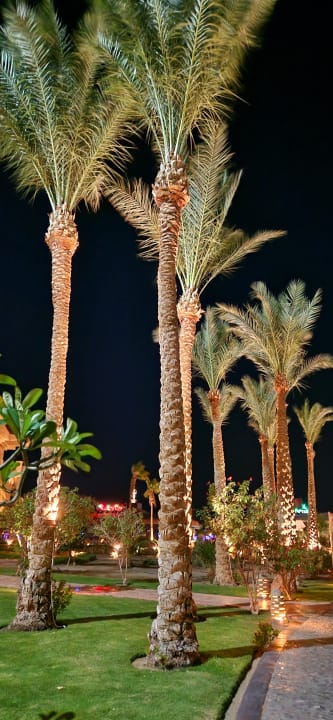 Außenansicht Tropitel Sahl Hasheesh