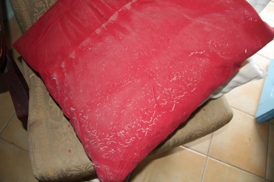 Staubig, wohin man blickt. Hotel Mascotte