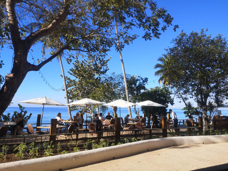 Gastro Secrets La Romana Resort & Spa - Adult Only