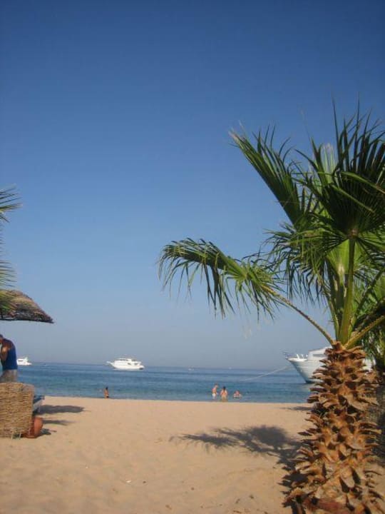 Strand und Meer Lotus Bay Beach Resort