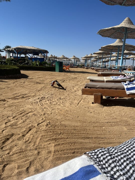 Strand Riviera Aqua Park Resort