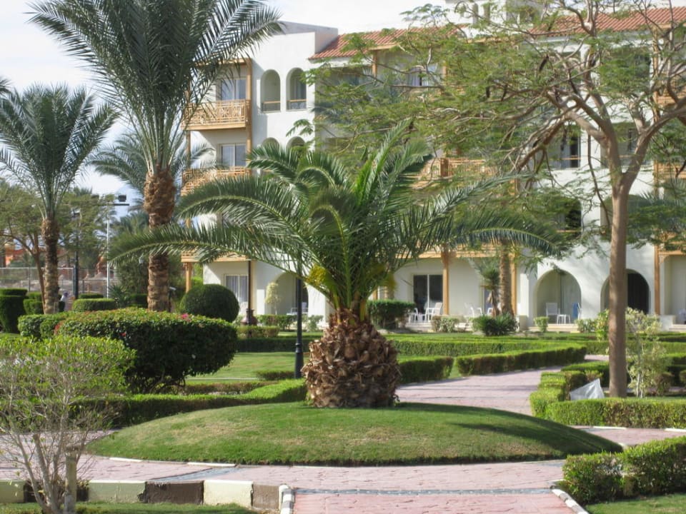 Garten Pickalbatros Dana Beach Resort - Hurghada
