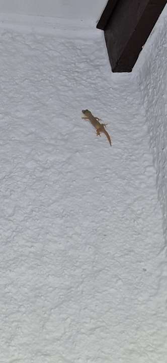 Zimmer Adaaran Select Meedhupparu Island Resort - Premium All Inclusive