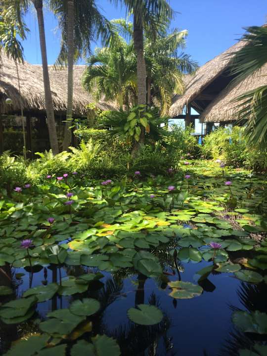 Gartenanlage Hotel Sofitel Bora Bora Marara Beach & Private Island