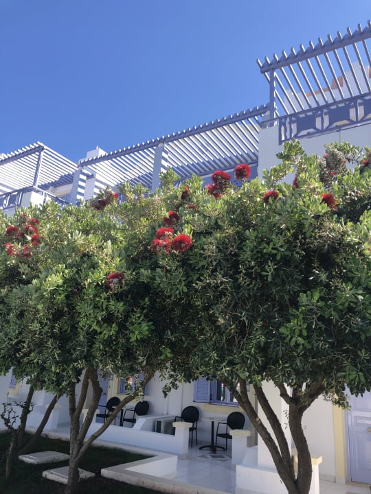 Garten Hotel Serita Beach