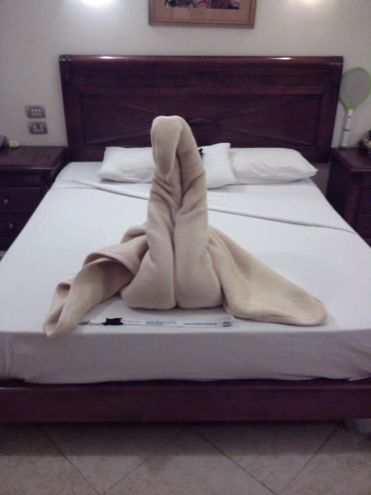 Nette Überaschung vom Zimmerboy  Imperial Shams Abu Soma