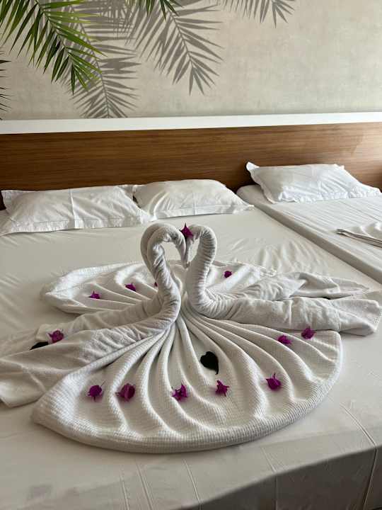 Zimmer Alba Resort Hotel