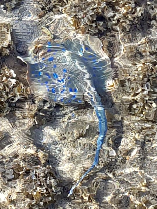 Sonstiges Stella Beach Resort & Spa Makadi Bay