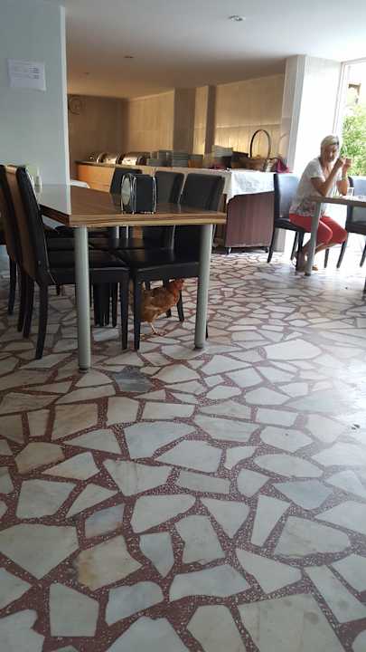 Restaurant North Point Hotel