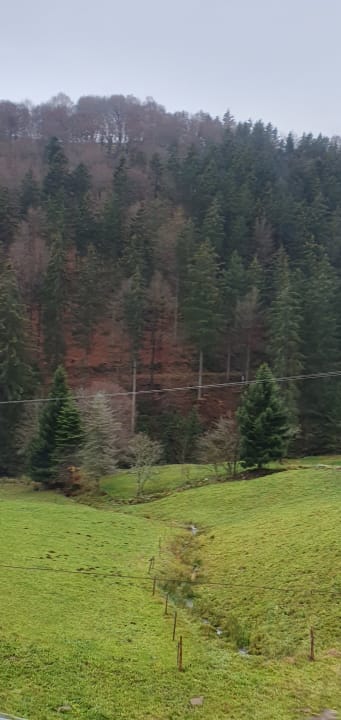 Außenansicht Naturparkhotel Grüner Baum