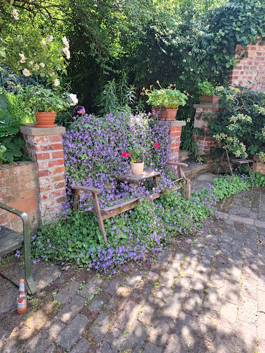 Gartenanlage Pension Am Alten Waschhaus