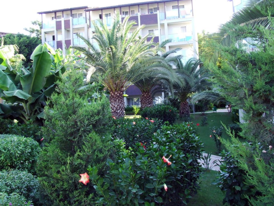 Garden Sealife Buket Resort & Beach