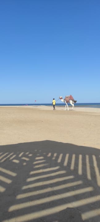 Strand Shams Prestige Abu Soma-Adults Only