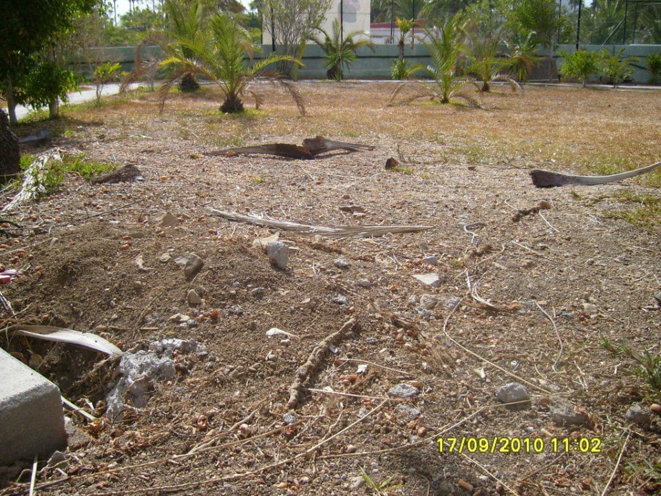 Grüner Rasen? HL Miraflor Suites Hotel