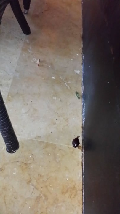 Sauberkeit sieht hier so aus..... Hotel Mercure Hurghada