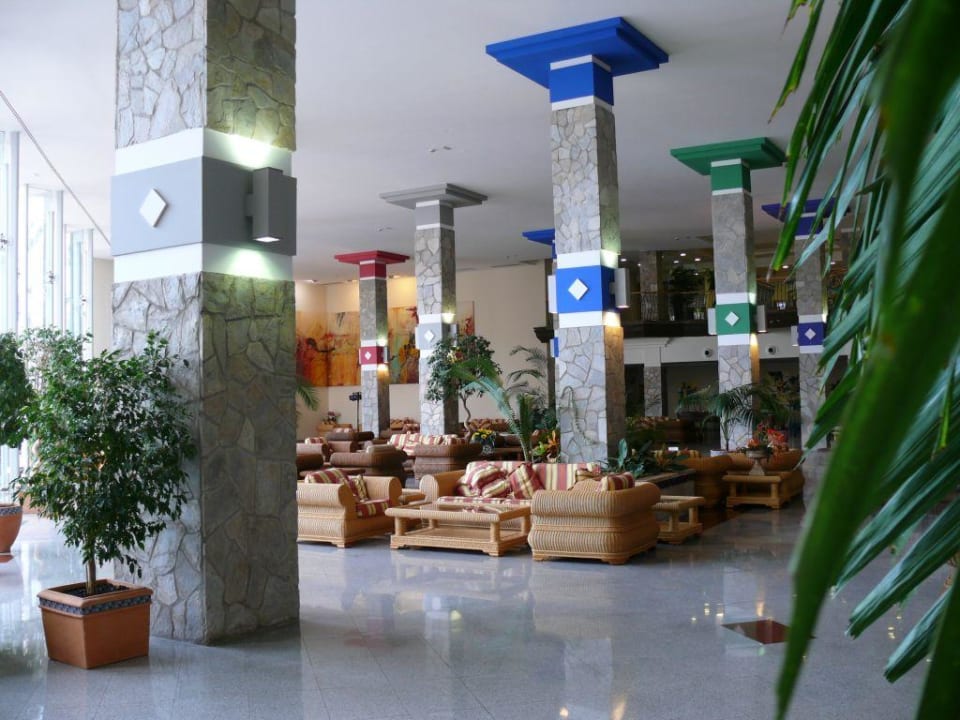 Hotel Hotel Riu Buenavista