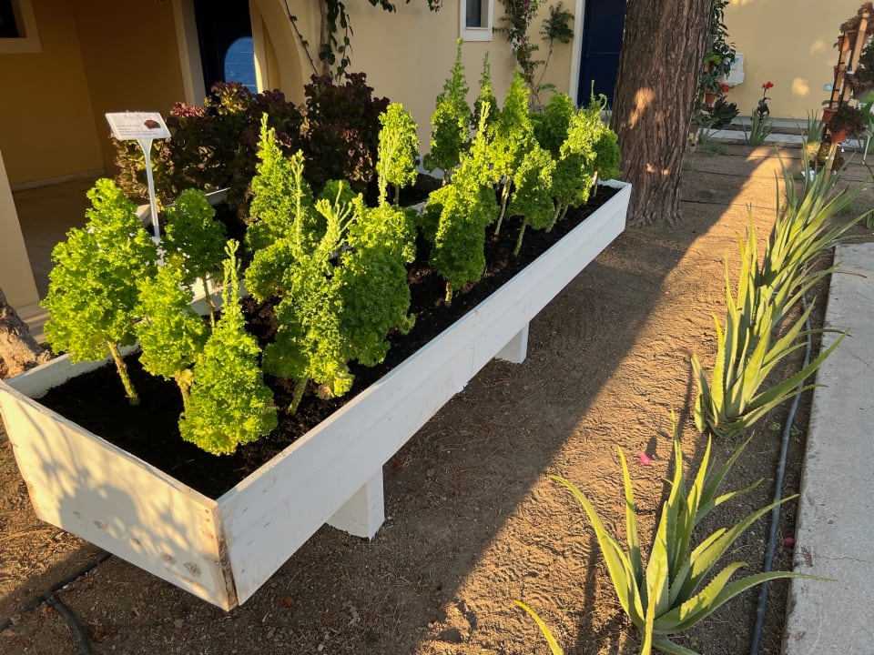 Gartenanlage Grecotel Casa Paradiso