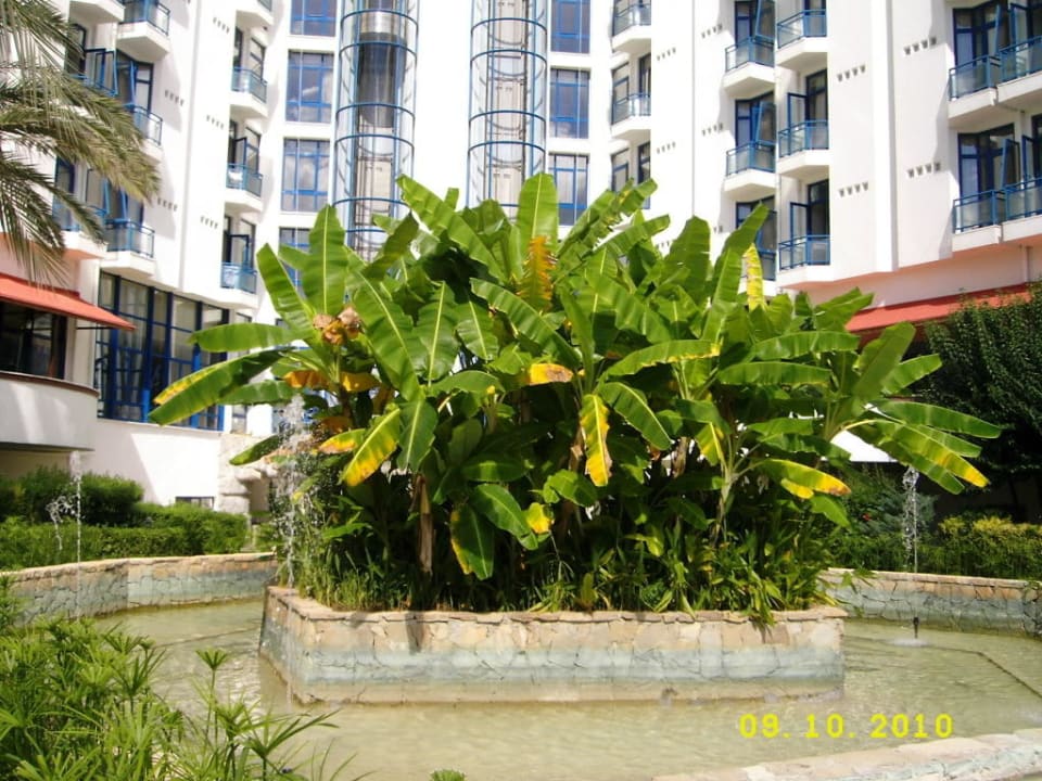 Kleine Insel! Green Max Hotel