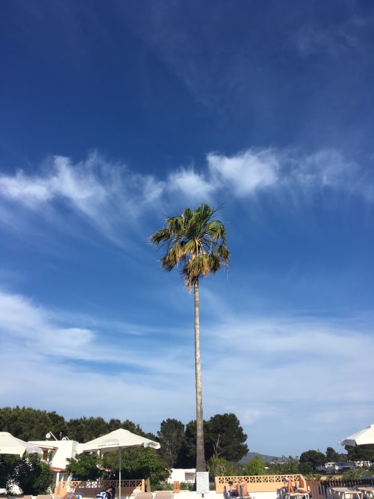 Pool Bungalows Es Pins