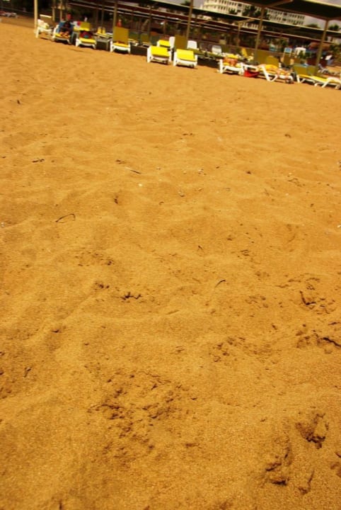 Vom 23.5. aufgenommen Kamelya Aishen Club