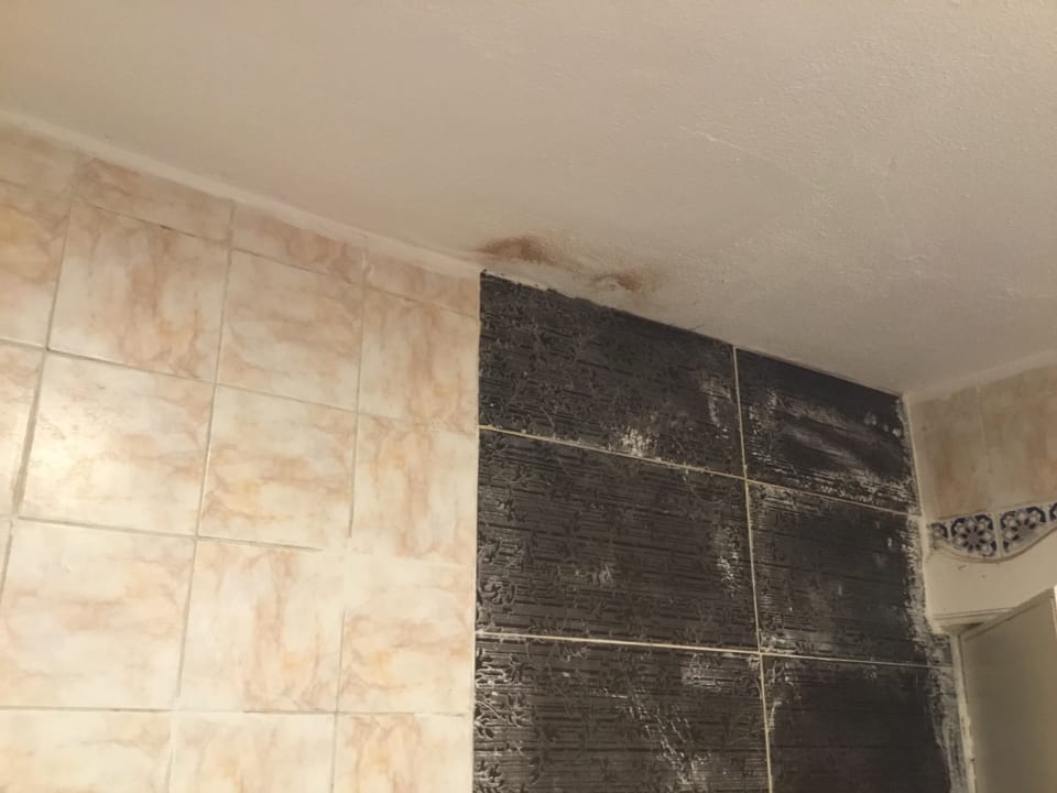 Zimmer Albatros Sharm Resort