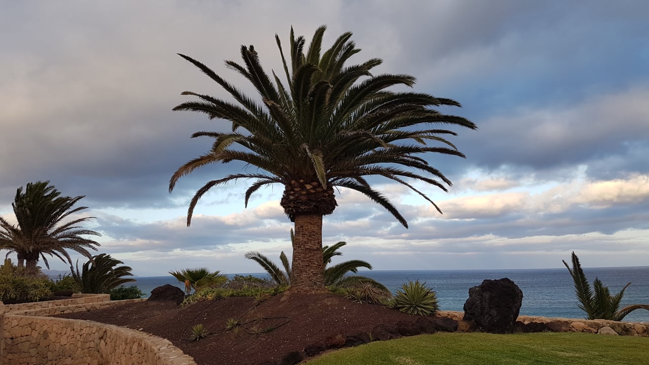 Garten R2 Pajara Beach