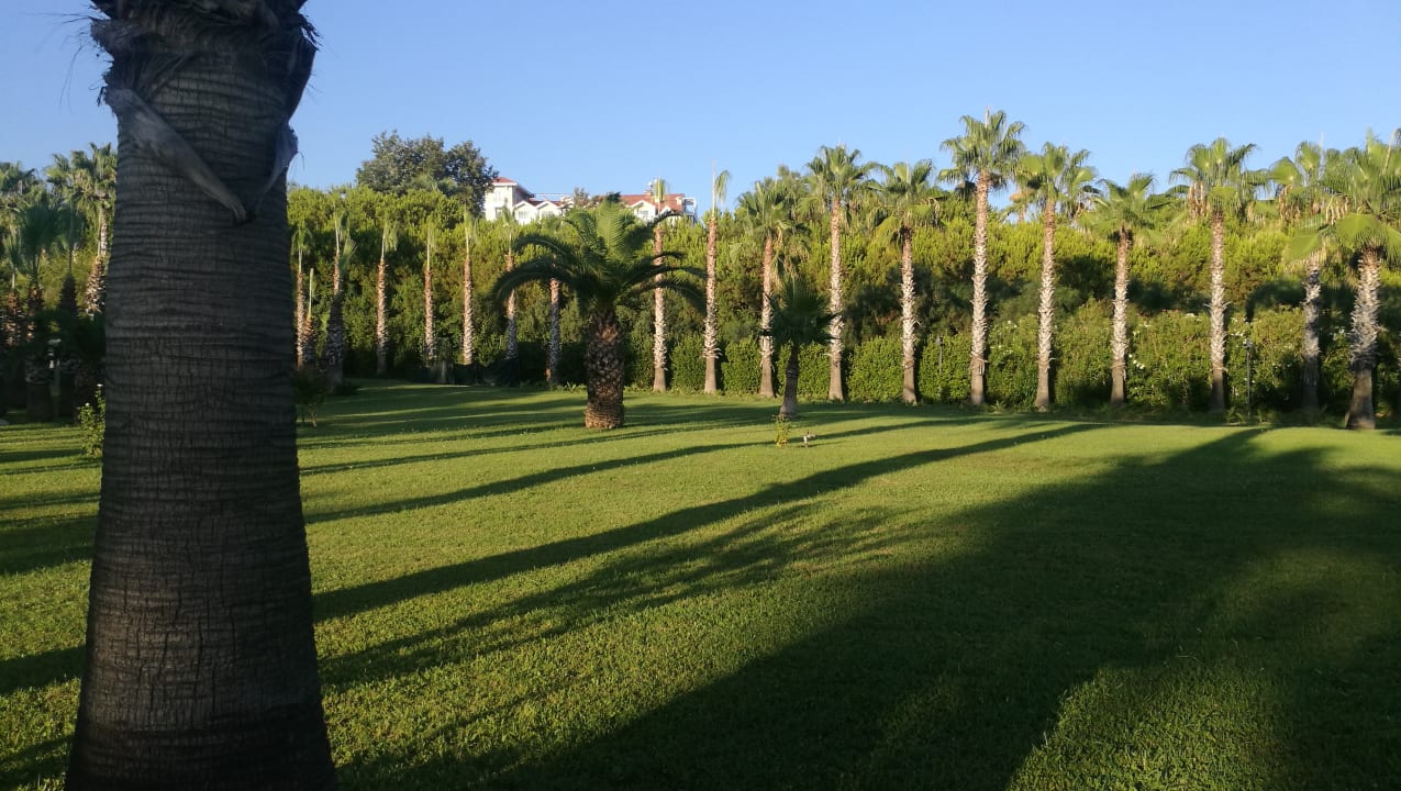 Außenansicht Royal Atlantis Beach Hotel