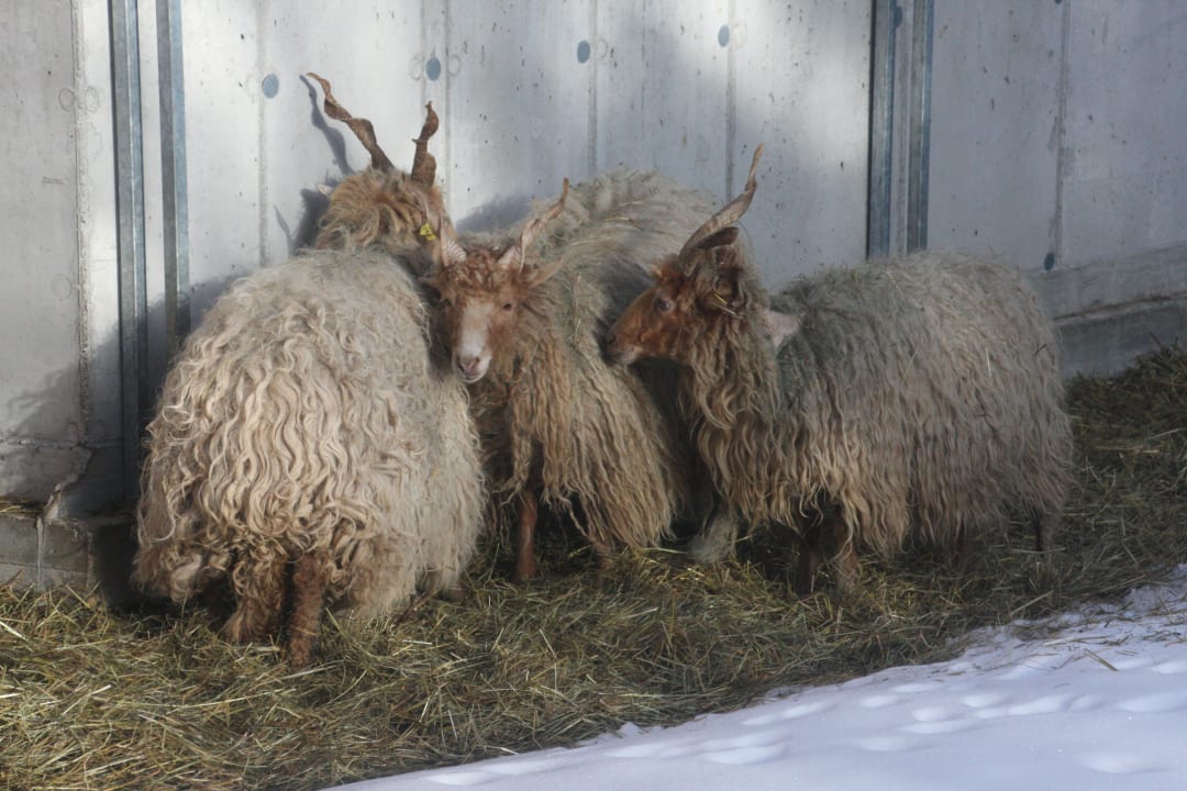 Sonstiges Bauernhof Haus Waldesruh