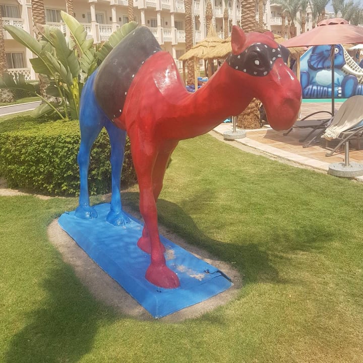 Sonstiges Pickalbatros Palace Resort