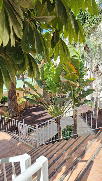 Gartenanlage Club Hotel Drago Park