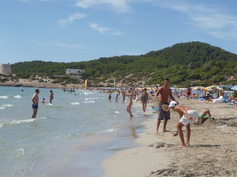 Hotel Fiesta Palm Beach Grand Palladium White Island Resort & Spa