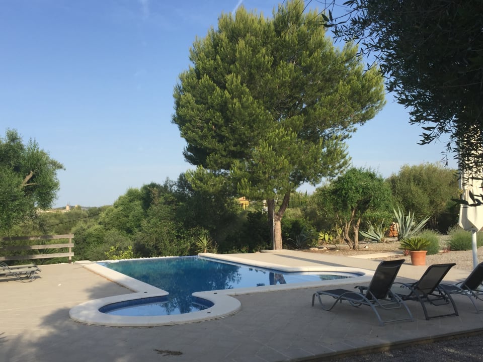 Pool Finca S Olivar d Es Coscois