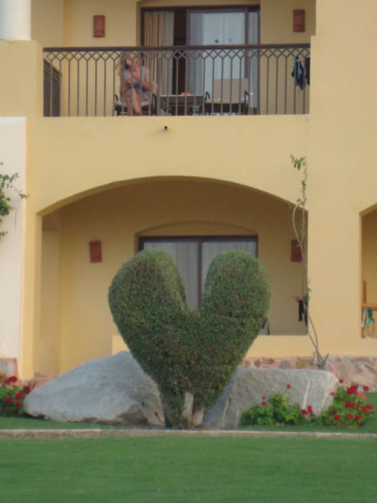 Liebevoll gestaltet Jaz Solaya