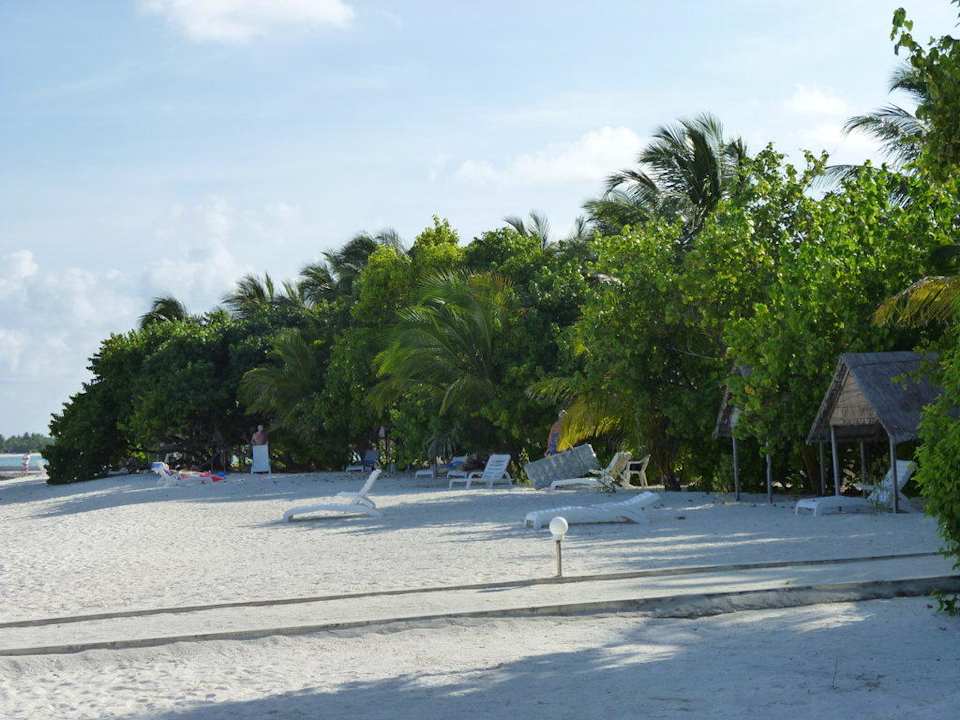 Ostseite Summer Island Maldives