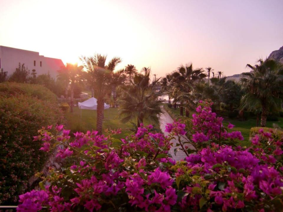 Sonnenaufgang von der Treppe zum Hauptgebäude Atlantica Aegean Blue