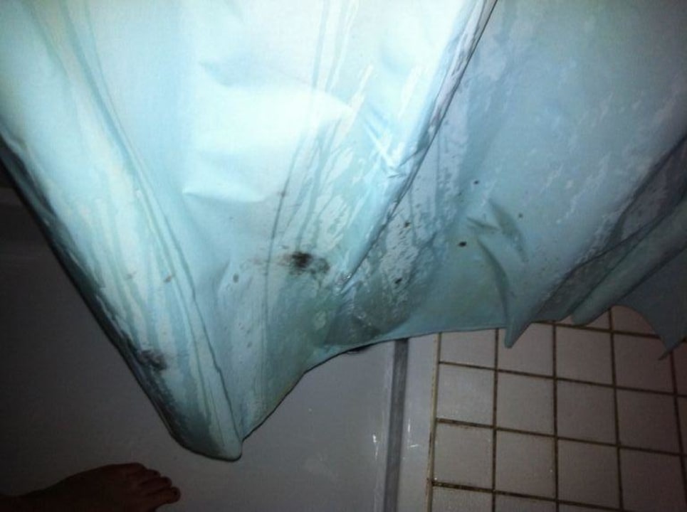 Schimmel am Duschvorhang Hotel des Alpes