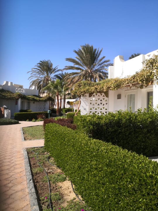 Sonstiges Shams Safaga Resort