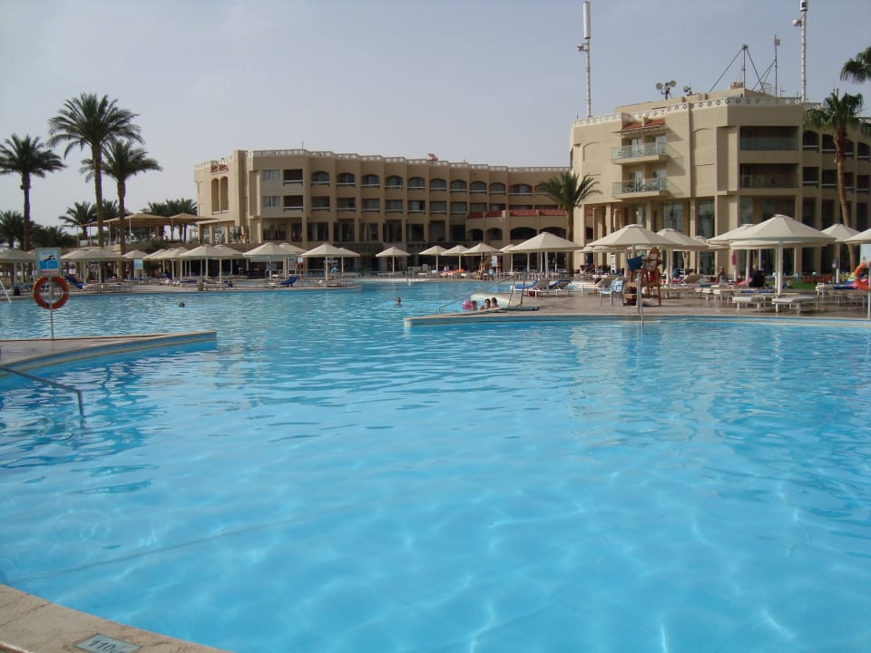 Pool Beach Albatros Resort