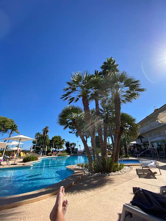 Pool allsun App.-Hotel Orquidea Playa