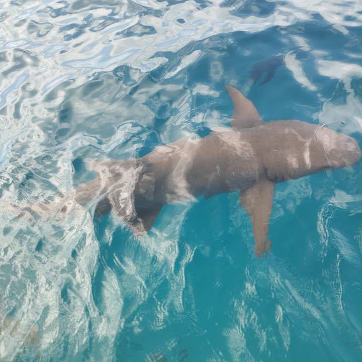 Sport & Freizeit Fihalhohi Maldives