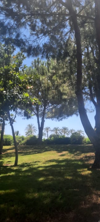 Gartenanlage Blue Waters Club