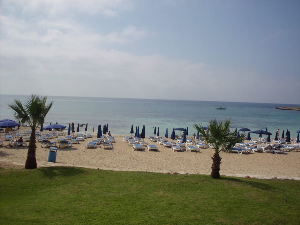 Blick auf den Strand vom Hotel  Asterias Beach