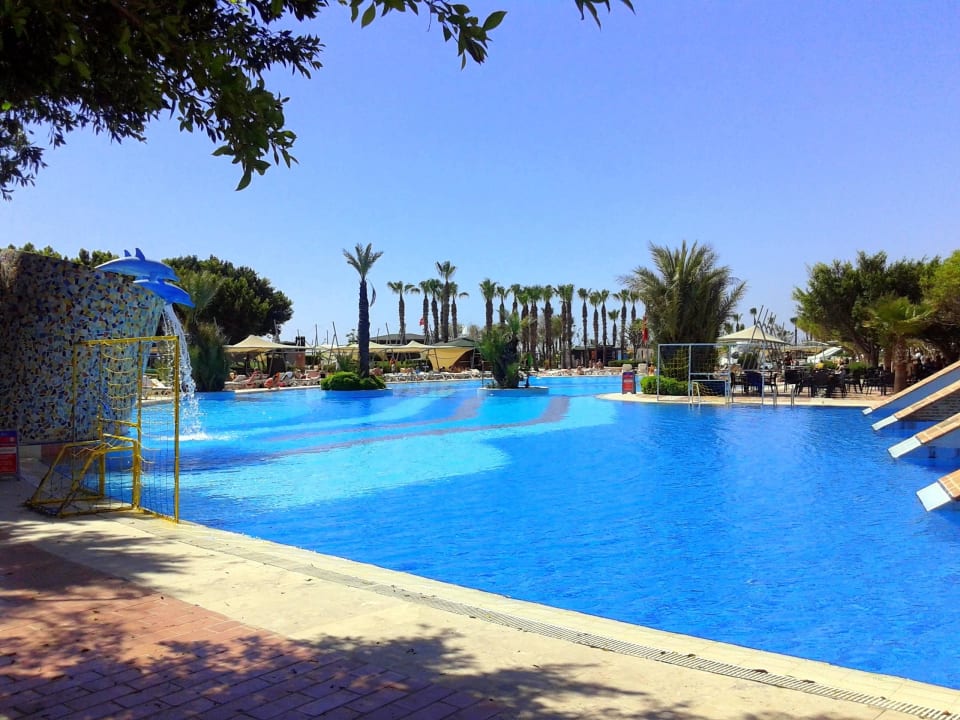 Территория Viking Park