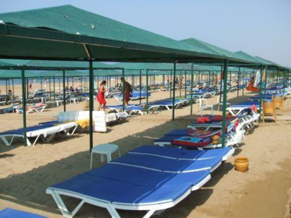 Es gab immer freie Liegen VONRESORT Golden Coast