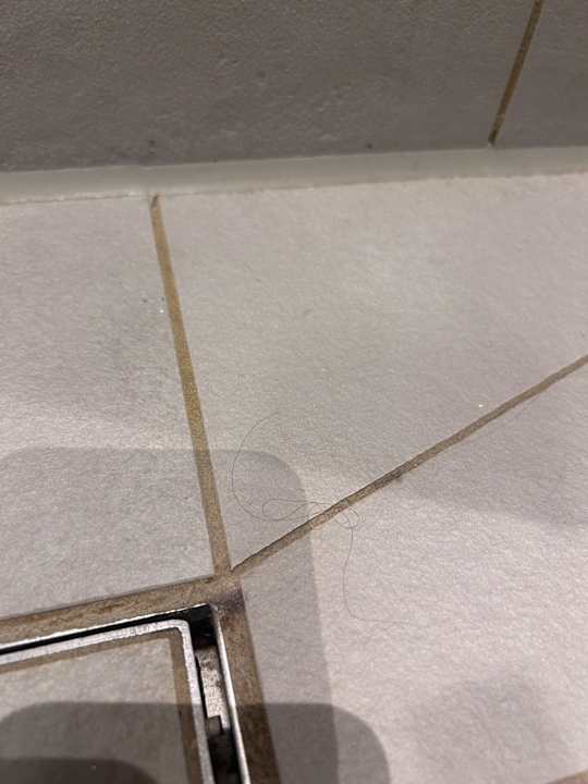 Zimmer Flightgate Munich Airport