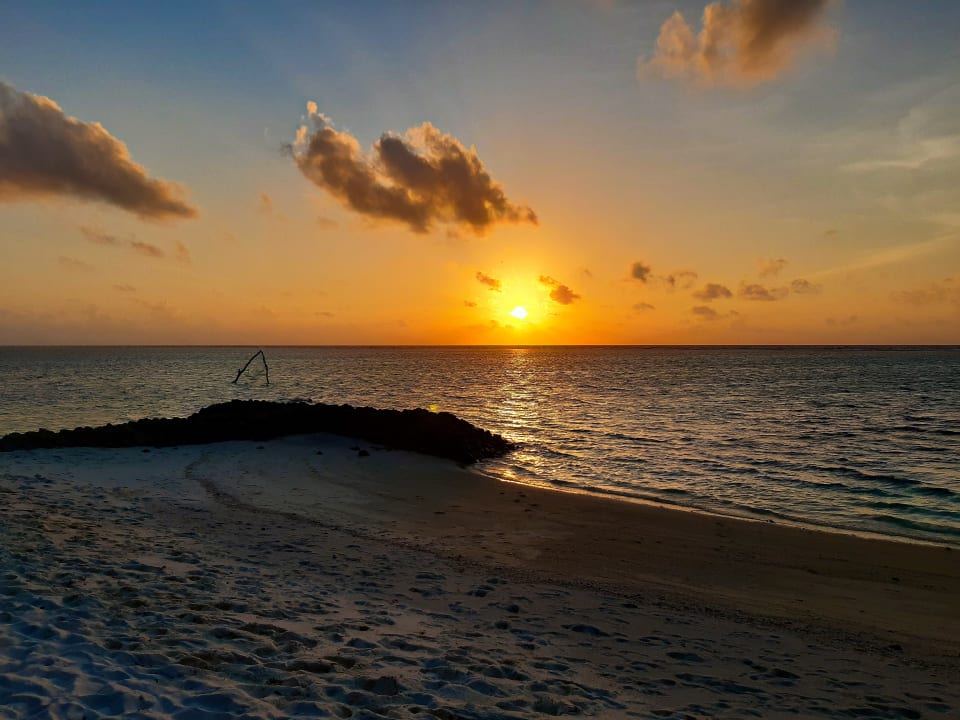 Strand Summer Island Maldives