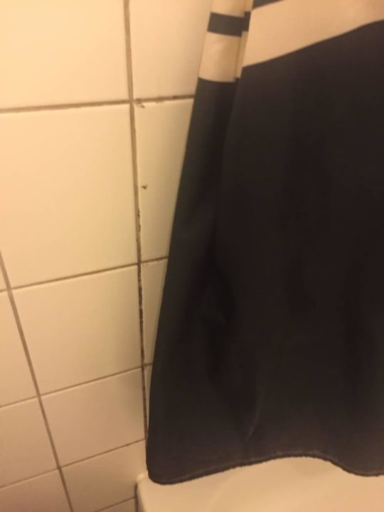 Schimmel in nahezu allen Fugen Hotel Arcen