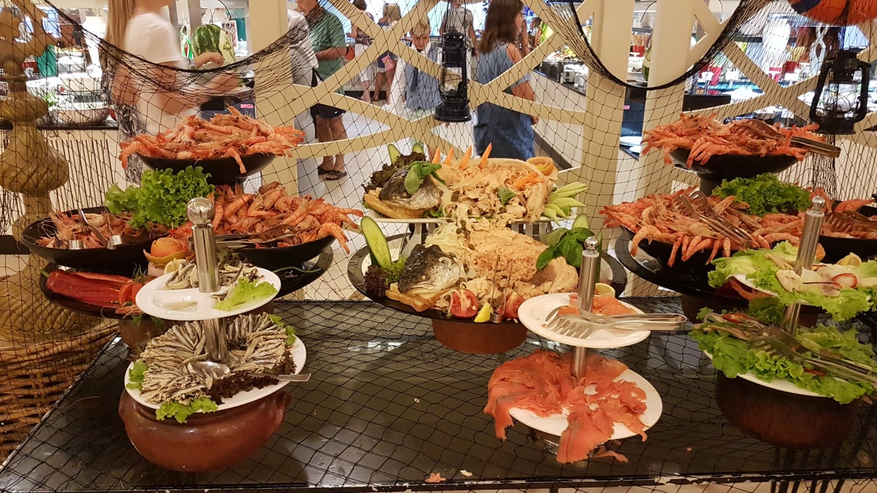 Gastro Paloma Oceana