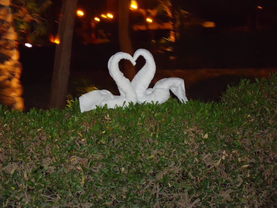 Abendmotiv Jaz Makadi Oasis Resort